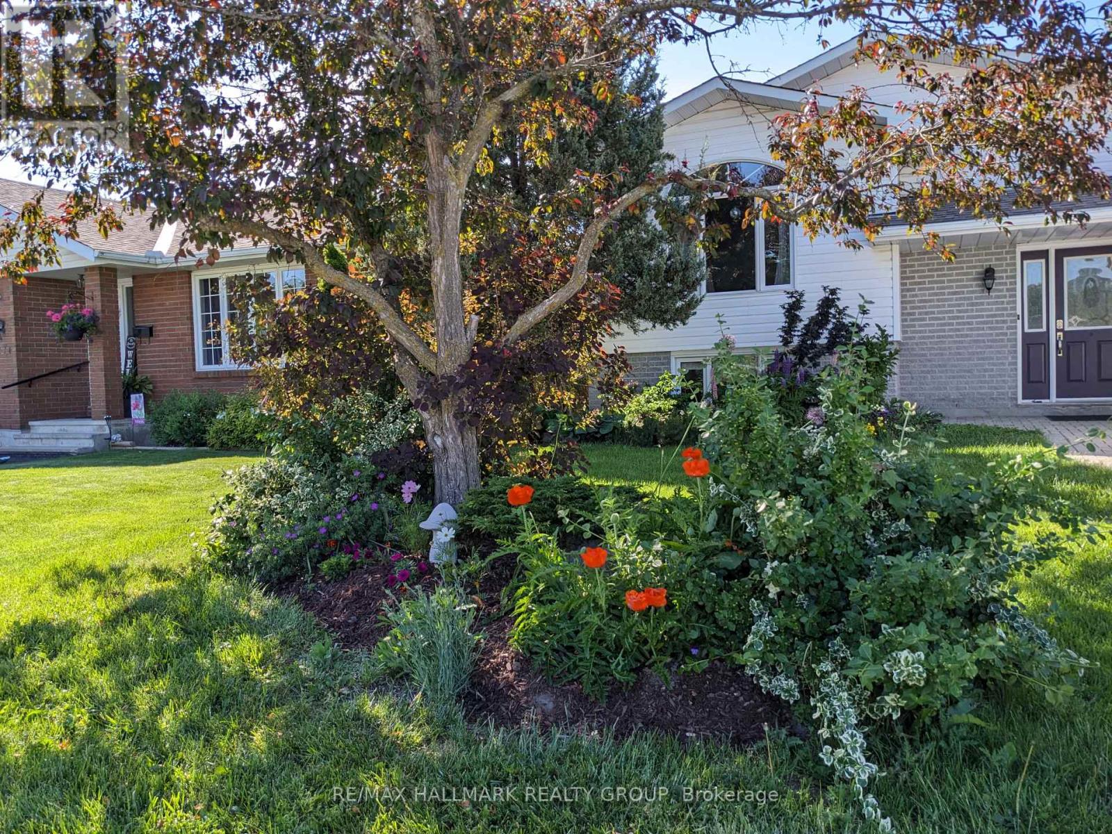 156 Charles Street, Arnprior, Ontario  K7S 1A7 - Photo 38 - X12936882