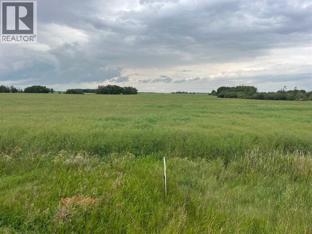 316 Niblock Street, Bawlf, Alberta  T0B 0J0 - Photo 2 - A2076409