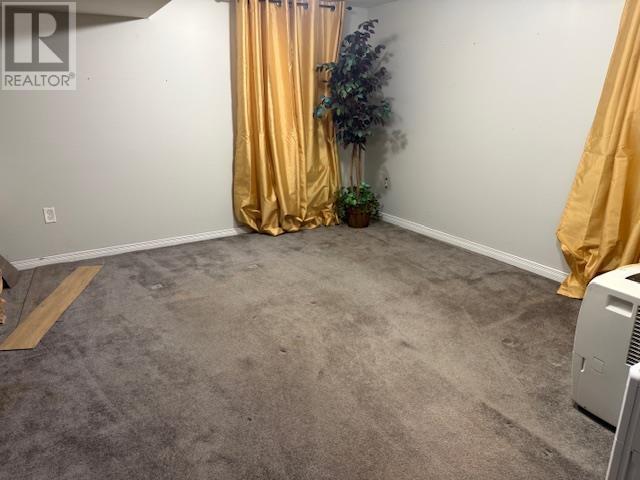 1010 Alberta Street, Thunder Bay, Ontario  P7C 3G2 - Photo 20 - TB2600569