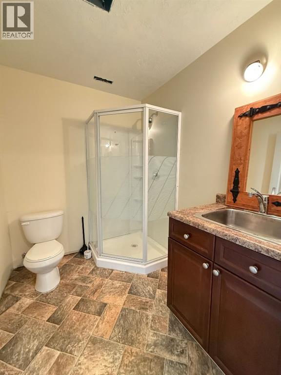 81 Peace River Avenue, Joussard, Alberta  T0G 1J0 - Photo 33 - A2259965