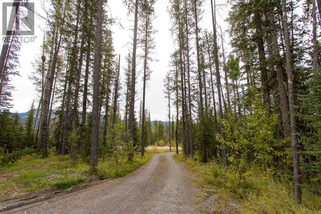 1254 Tamarack Trail, Nordegg, Alberta  T0M 0C6 - Photo 36 - A2295673