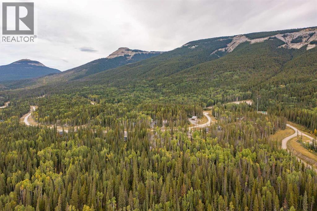 1254 Tamarack Trail, Nordegg, Alberta  T0M 0C6 - Photo 47 - A2295673