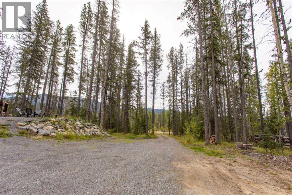 1254 Tamarack Trail, Nordegg, Alberta  T0M 0C6 - Photo 37 - A2295673