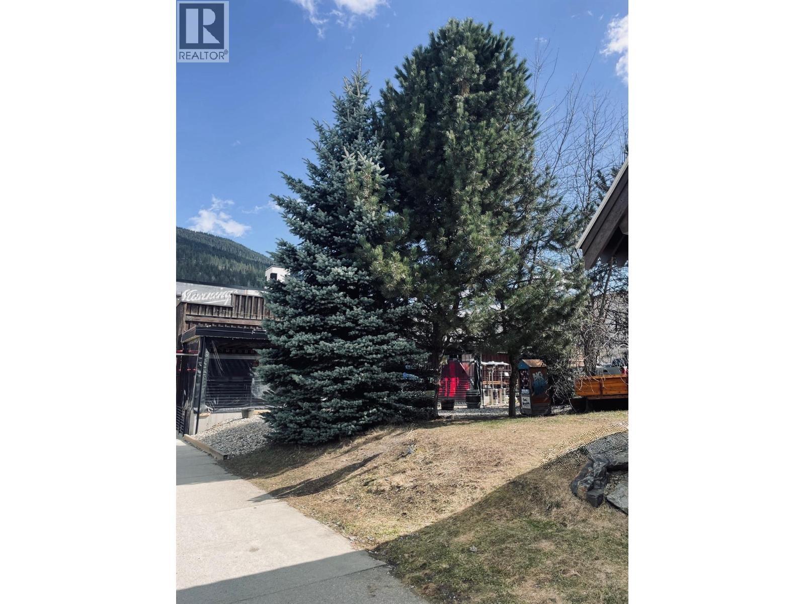 310 Mackenzie Avenue, Revelstoke, British Columbia V0E 2S0 - Photo 4 - 10372847