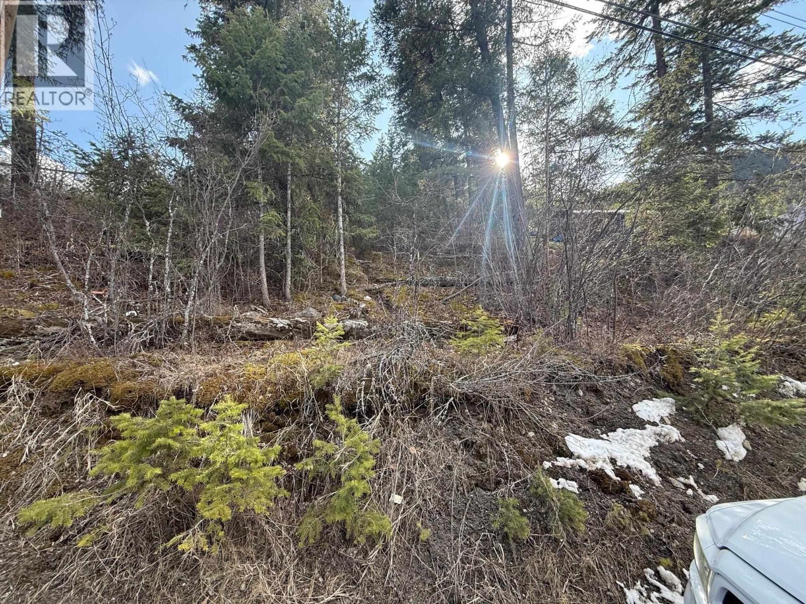 1955 S Lakeside Drive, Williams Lake, British Columbia V2G 1J1 - Photo 3 - R3084937