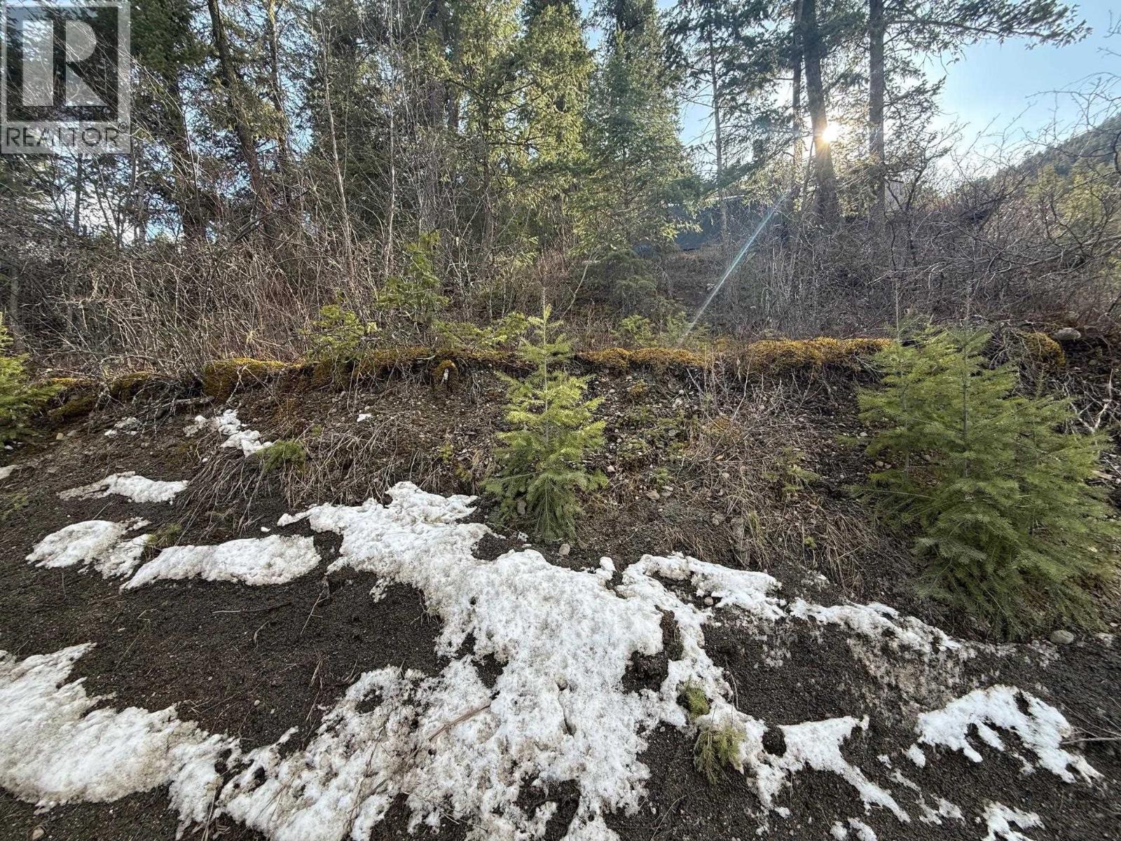 1955 S Lakeside Drive, Williams Lake, British Columbia V2G 1J1 - Photo 2 - R3084937