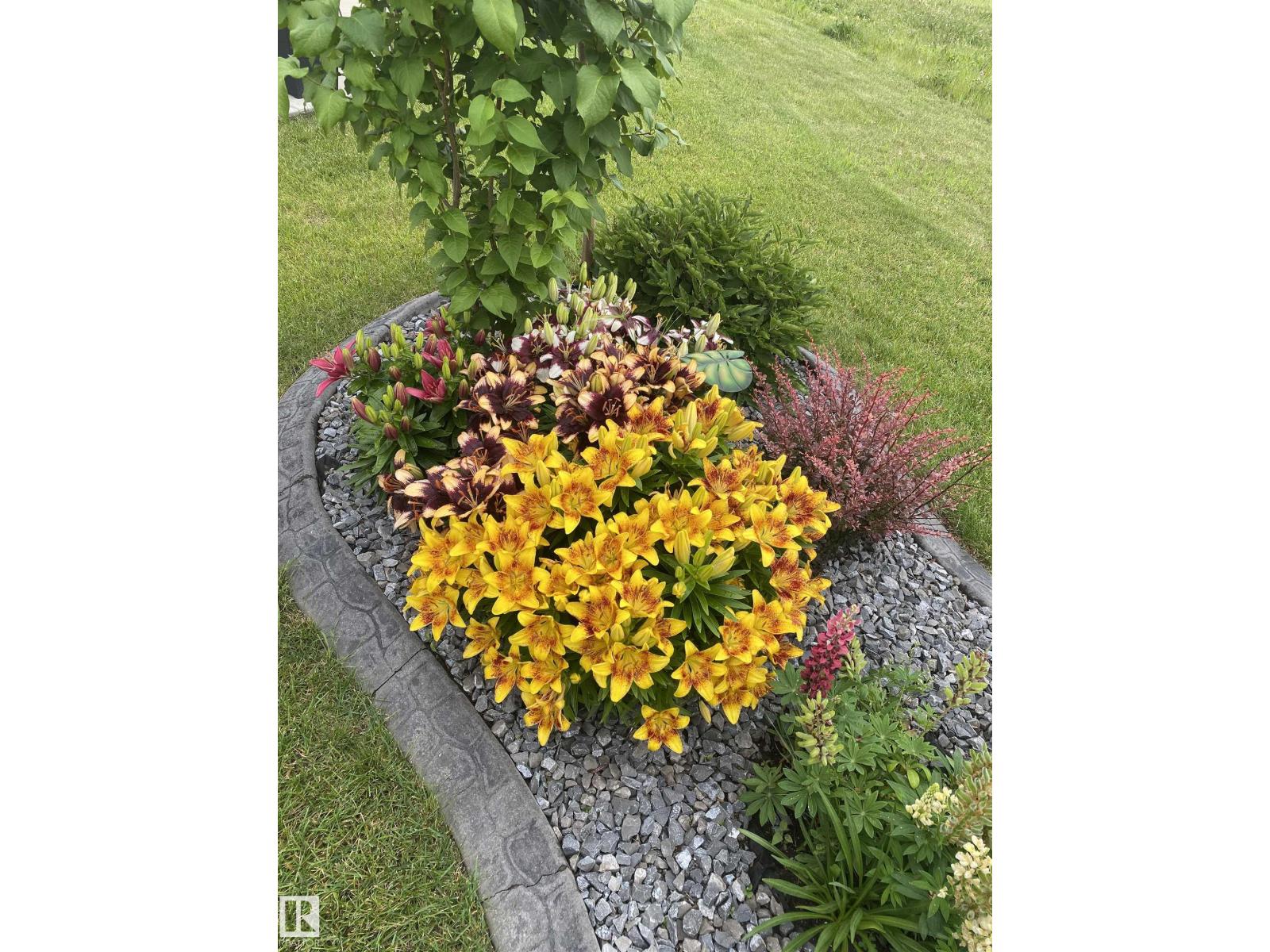 5007 55 Av, Redwater, Alberta  T0A 2W0 - Photo 35 - E4479868