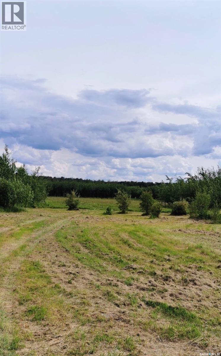 Lot 4 Poplar Grove Estates, Meadow Lake Rm No.588, Saskatchewan  S9X 1Y7 - Photo 9 - SK031728