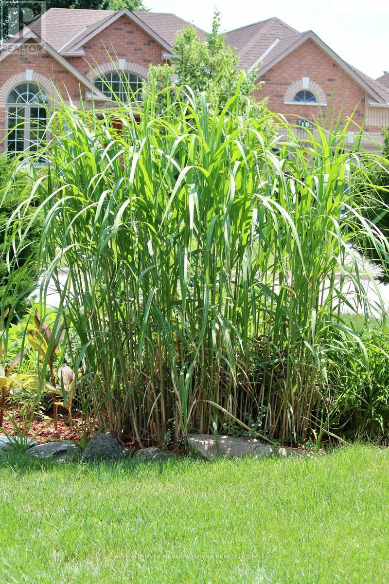 29 Hamilton Crescent, Halton Hills, Ontario  L7G 5K9 - Photo 46 - W12940074