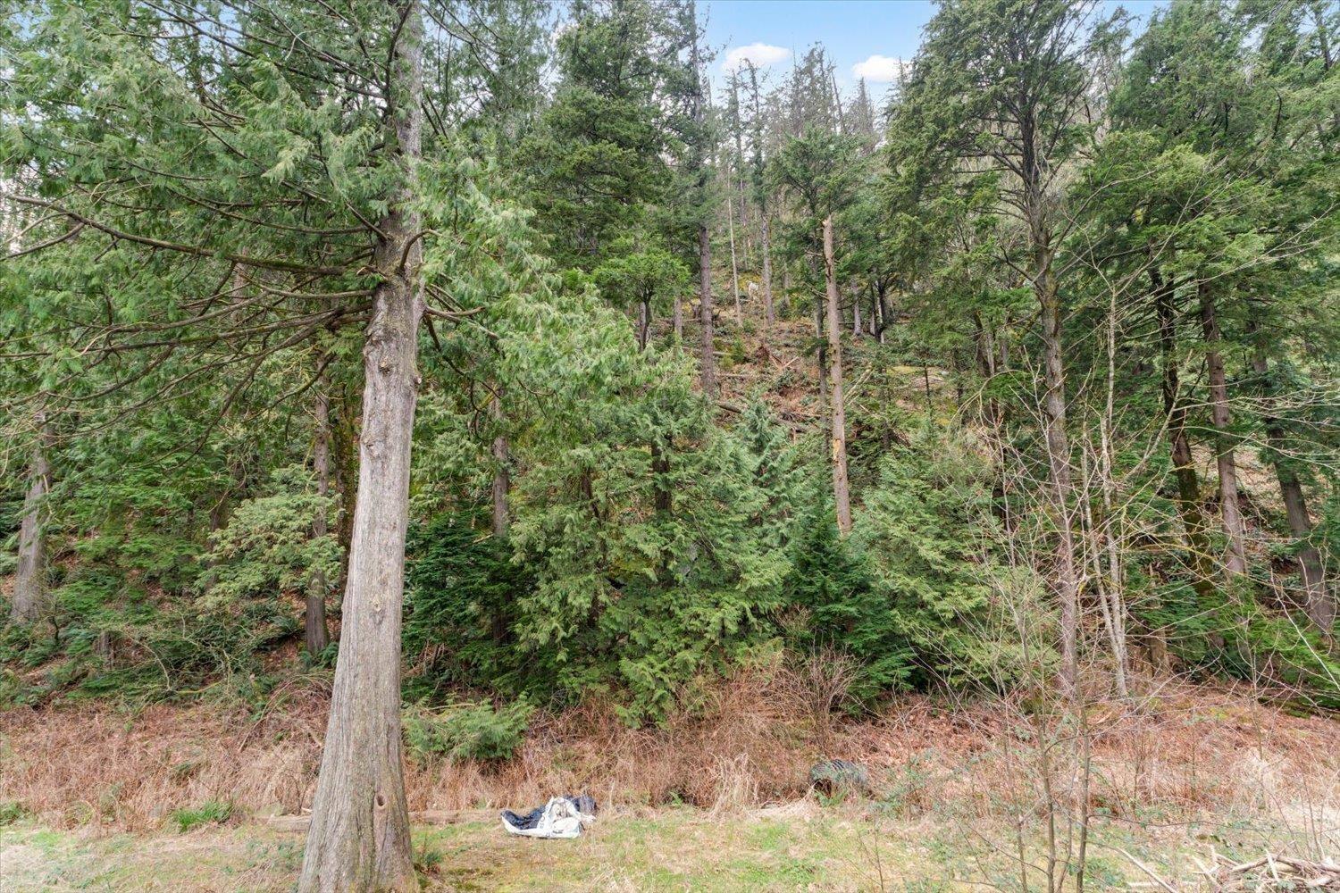 17 750 Hot Springs Road, Harrison Hot Springs, Harrison Hot Springs, British Columbia  V0M 1K0 - Photo 28 - R3092241