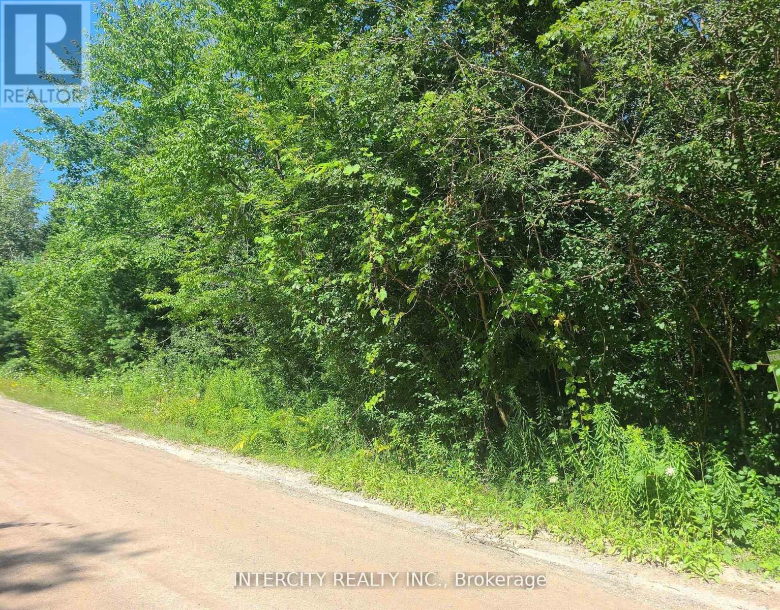 Lot 22 Routley Avenue, Georgina, Ontario  L0E 1N0 - Photo 26 - N12940362