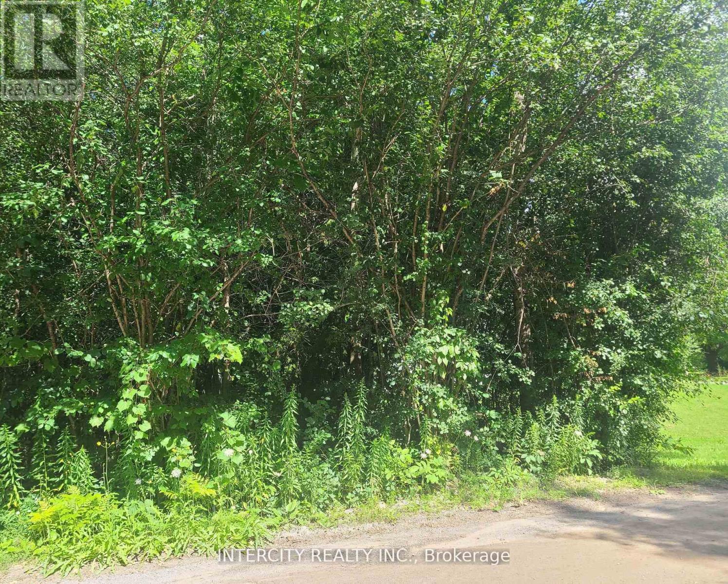 Lot 22 Routley Avenue, Georgina, Ontario  L0E 1N0 - Photo 27 - N12940362