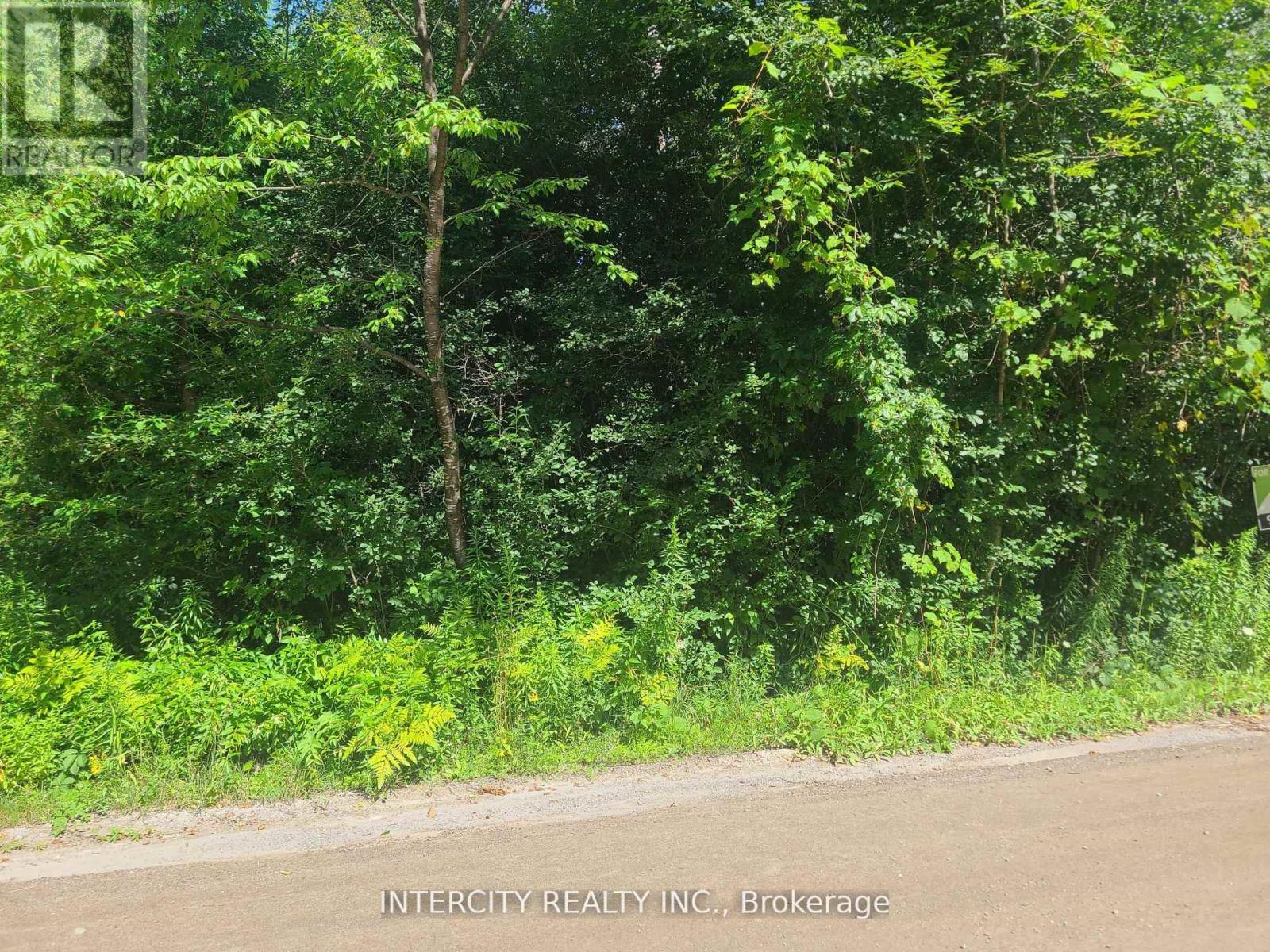 Lot 22 Routley Avenue, Georgina, Ontario  L0E 1N0 - Photo 28 - N12940362