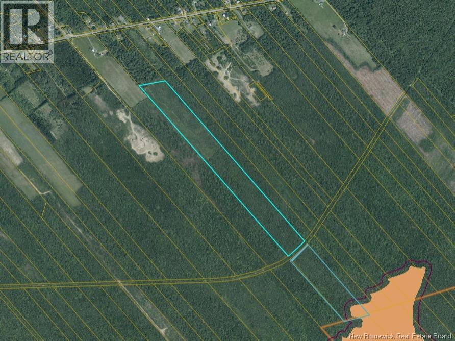 49.57 Acres Off Douglasfield Road, Miramichi, New Brunswick  E1N 4S7 - Photo 1 - NB136256