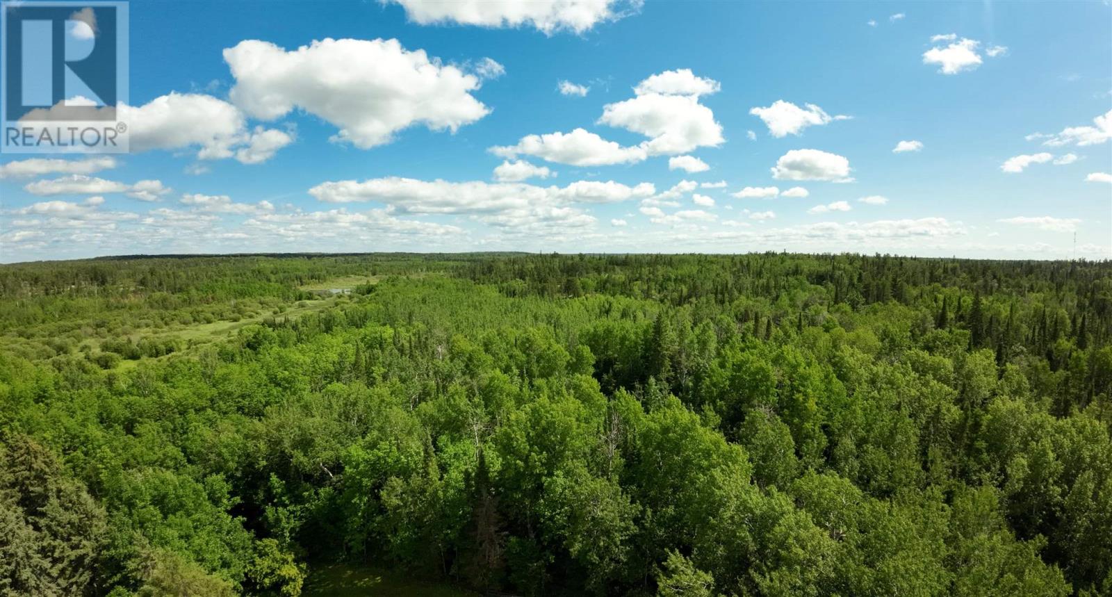 9808 Hwy 621, Morson, Ontario  P0W 1J0 - Photo 3 - TB2600243