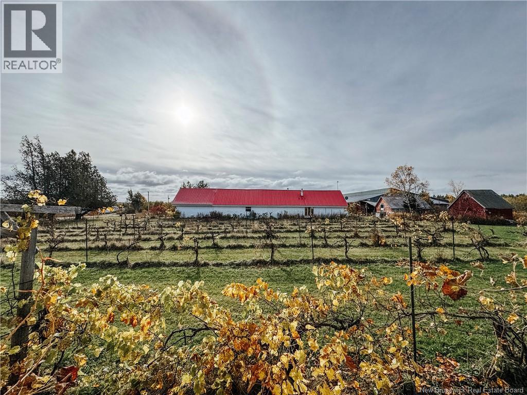 851 Route 970, Baie Verte, New Brunswick  E4M 1Y3 - Photo 36 - NB129268