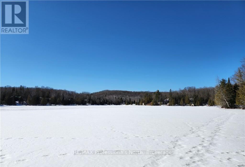 0 Poverty Bay Trail, Minden Hills, Ontario  K0M 2K0 - Photo 13 - X12940510
