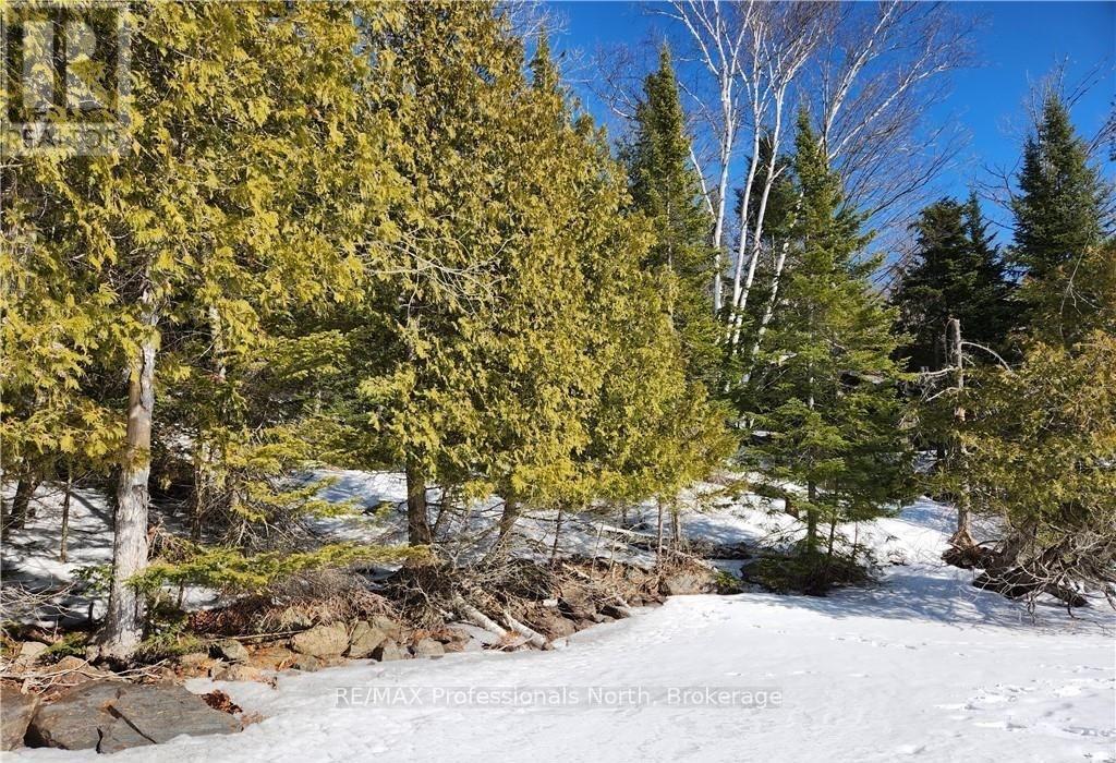 0 Poverty Bay Trail, Minden Hills, Ontario  K0M 2K0 - Photo 8 - X12940510