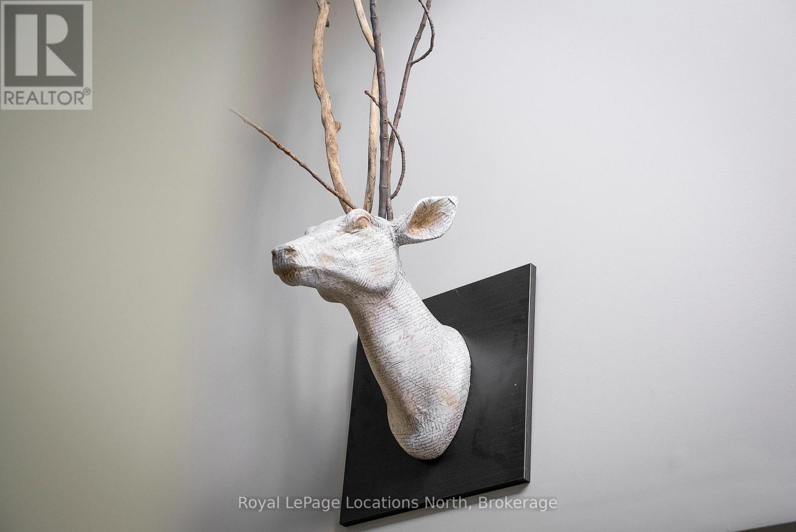 410 - 796468 19 Grey Road, Blue Mountains, Ontario  L9Y 0N6 - Photo 43 - X12940612