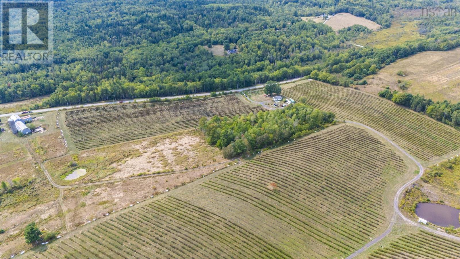 2242 Lower Branch Road, New Canada, Nova Scotia  B4V 4V5 - Photo 27 - 202522959