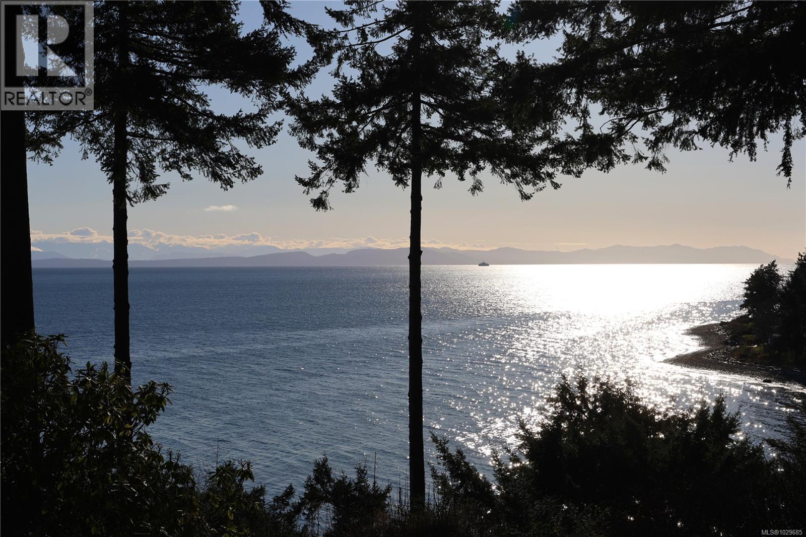 Lorem Ipsum Dolor, Courtenay, British Columbia  V9J  - Photo 4 - DEMO29510560