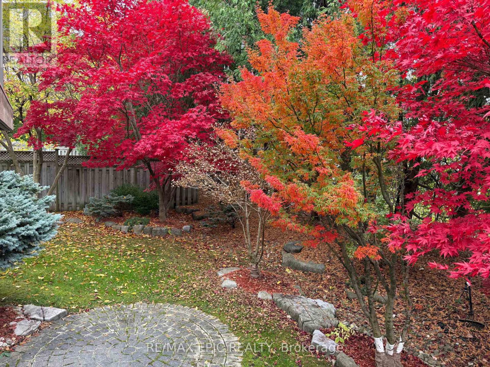 11 Palace Court, Richmond Hill, Ontario  L4B 4C3 - Photo 50 - N12938800