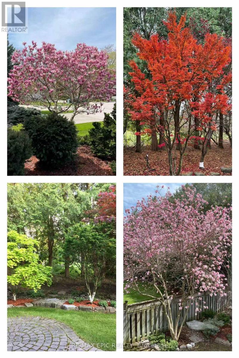 11 Palace Court, Richmond Hill, Ontario  L4B 4C3 - Photo 48 - N12938800