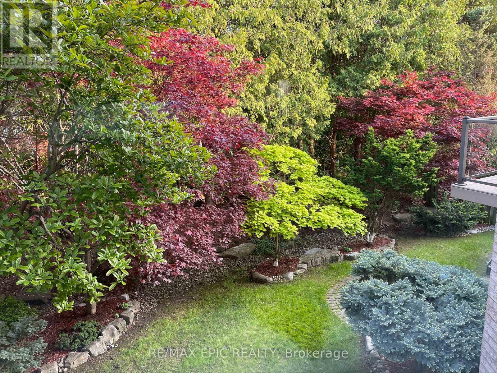 11 Palace Court, Richmond Hill, Ontario  L4B 4C3 - Photo 49 - N12938800