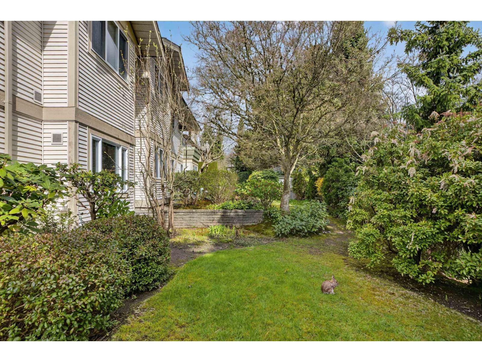 216 13888 70 Avenue, Surrey, British Columbia  V3W 0R8 - Photo 27 - R3104628