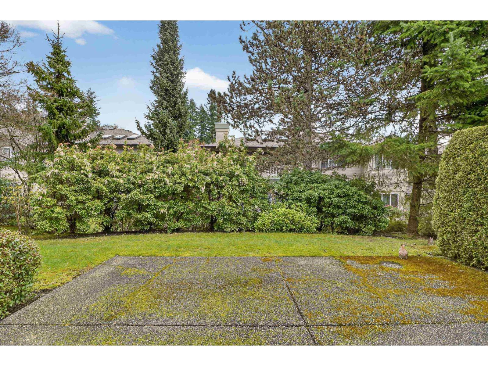 216 13888 70 Avenue, Surrey, British Columbia  V3W 0R8 - Photo 25 - R3104628