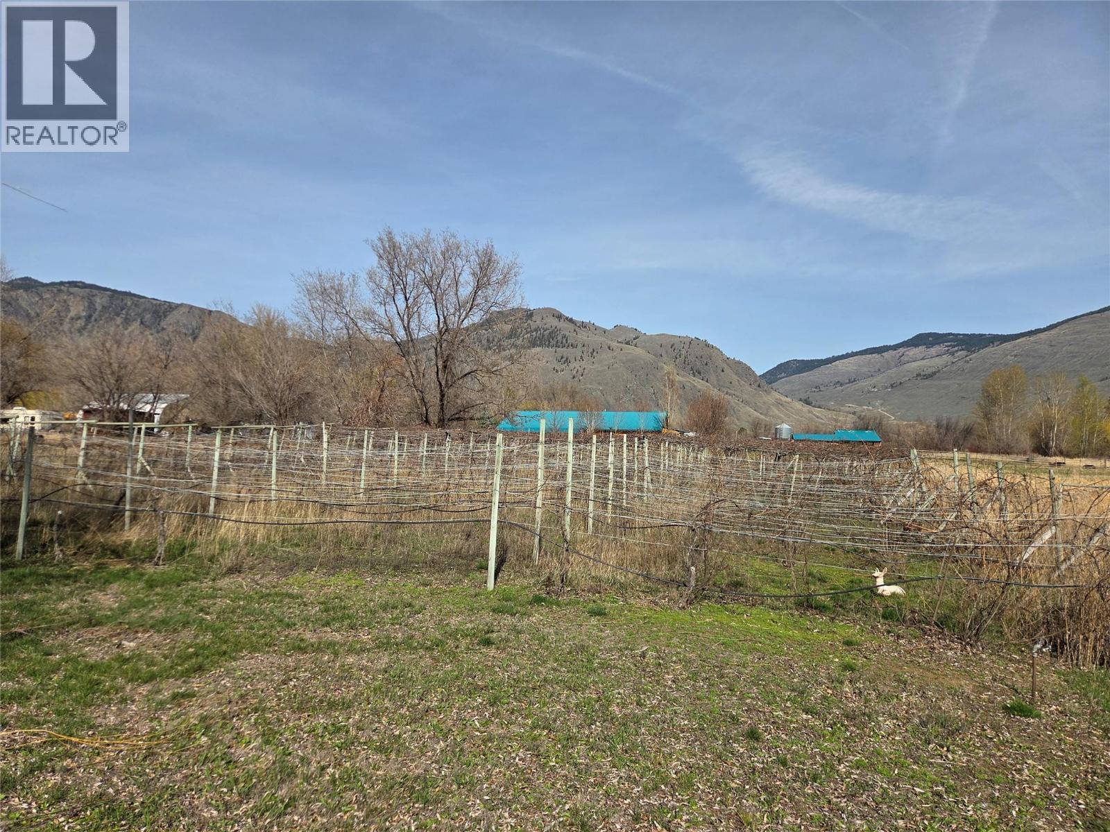 2130 Wooden Road, Cawston, British Columbia  V0X 1C1 - Photo 16 - 10381119