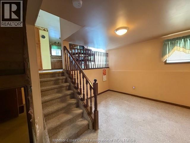 3981 Bliss, Windsor, Ontario N8W 3C5 - Photo 14 - 26006652