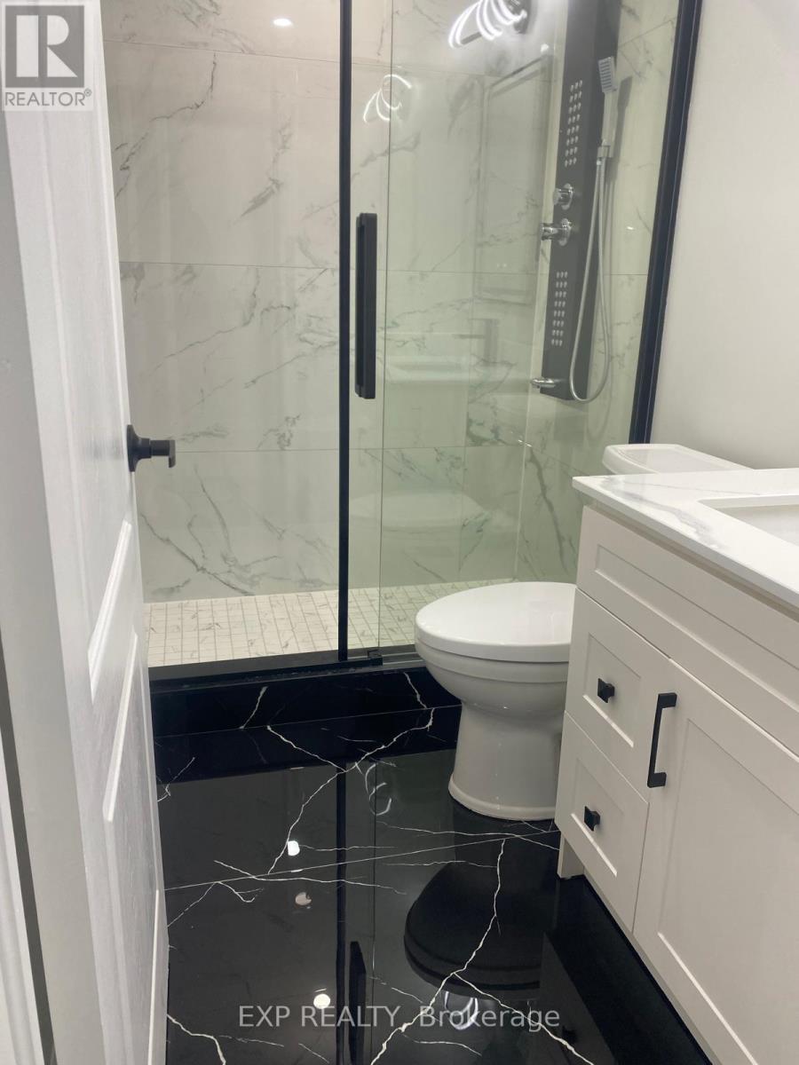 Bsmt - 841 Tea Landing, Milton, Ontario  L9E 1P4 - Photo 10 - W12940748