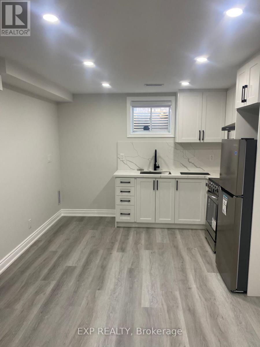 Bsmt - 841 Tea Landing, Milton, Ontario  L9E 1P4 - Photo 5 - W12940748