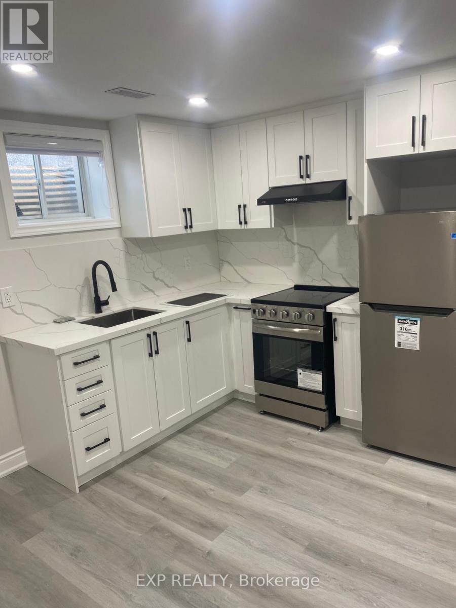 Bsmt - 841 Tea Landing, Milton, Ontario  L9E 1P4 - Photo 6 - W12940748