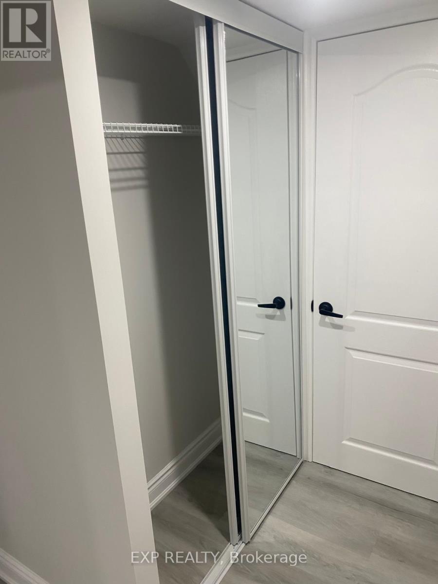 Bsmt - 841 Tea Landing, Milton, Ontario  L9E 1P4 - Photo 8 - W12940748