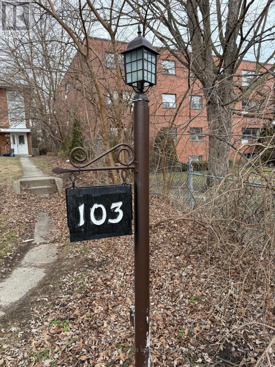 Lower Level - 103 Coe Hill Drive, Toronto, Ontario  M6S 3E3 - Photo 2 - W12940872