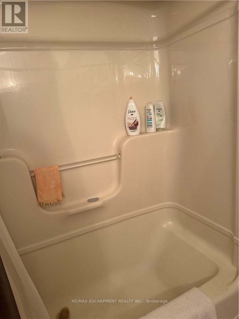 92 Blenheim Drive, Hamilton, Ontario  L8E 1W5 - Photo 19 - X12940646