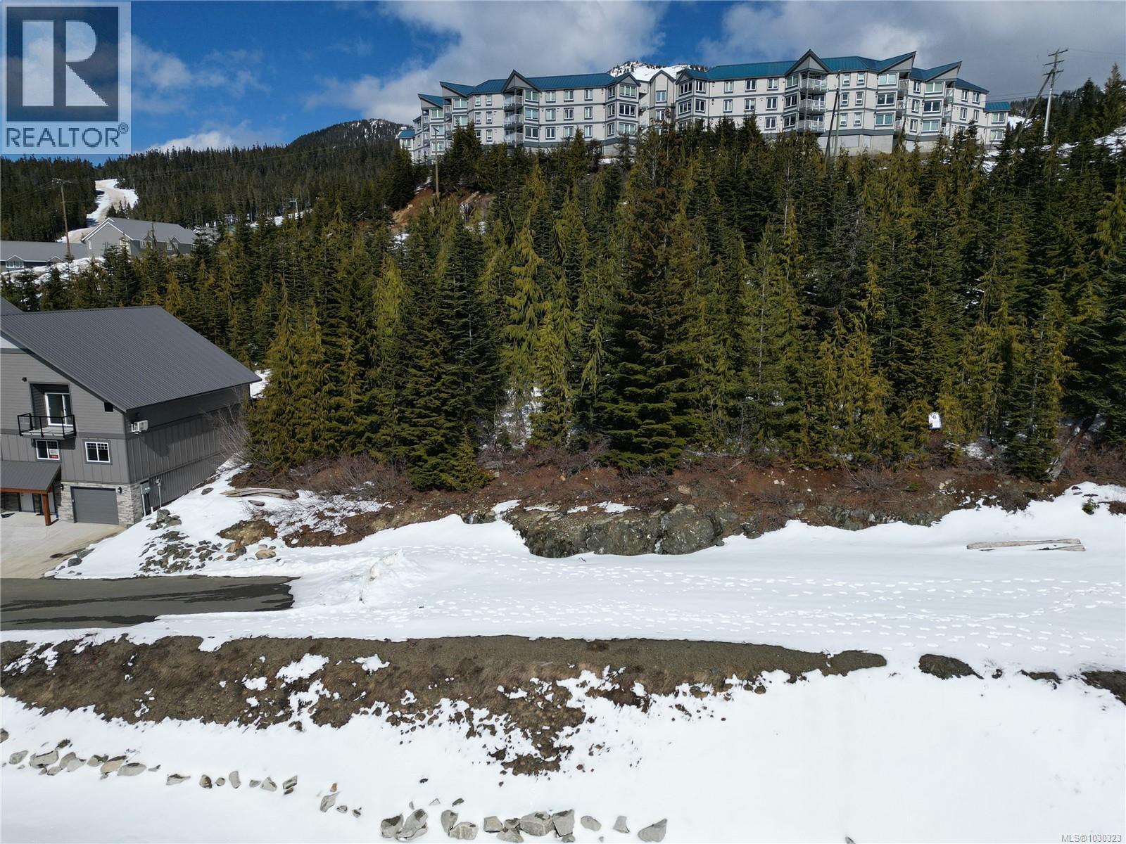 11 Nordic Rd, Courtenay, British Columbia  V9J 1L0 - Photo 3 - 1030323