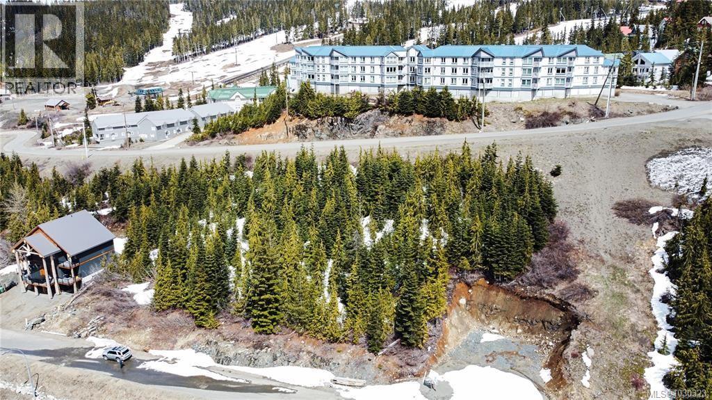 11 Nordic Rd, Courtenay, British Columbia  V9J 1L0 - Photo 6 - 1030323