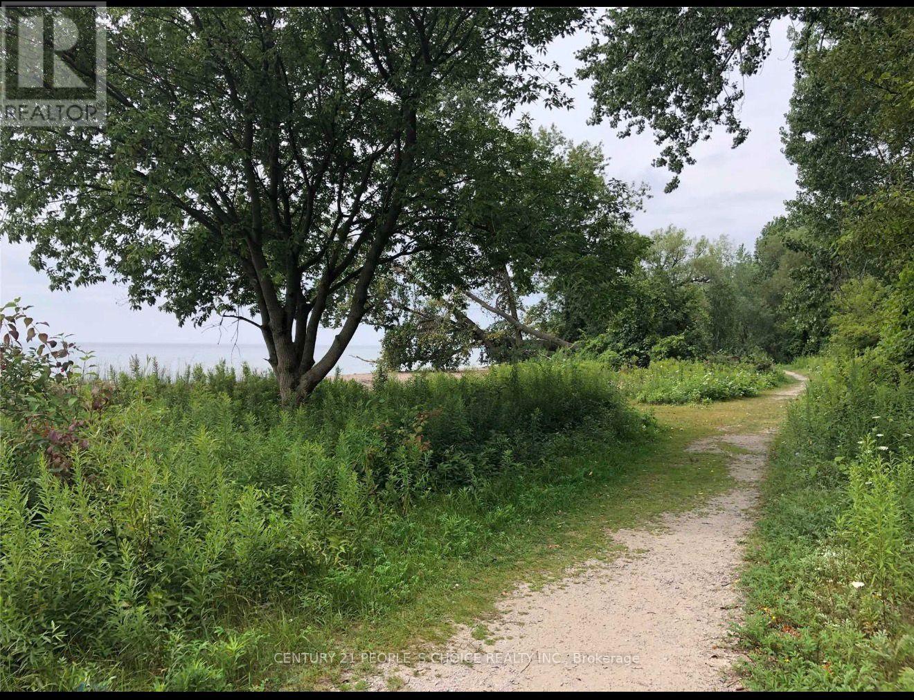 Bsmt - 18 Lighthouse Street, Whitby, Ontario  L1N 9N6 - Photo 21 - E12725668