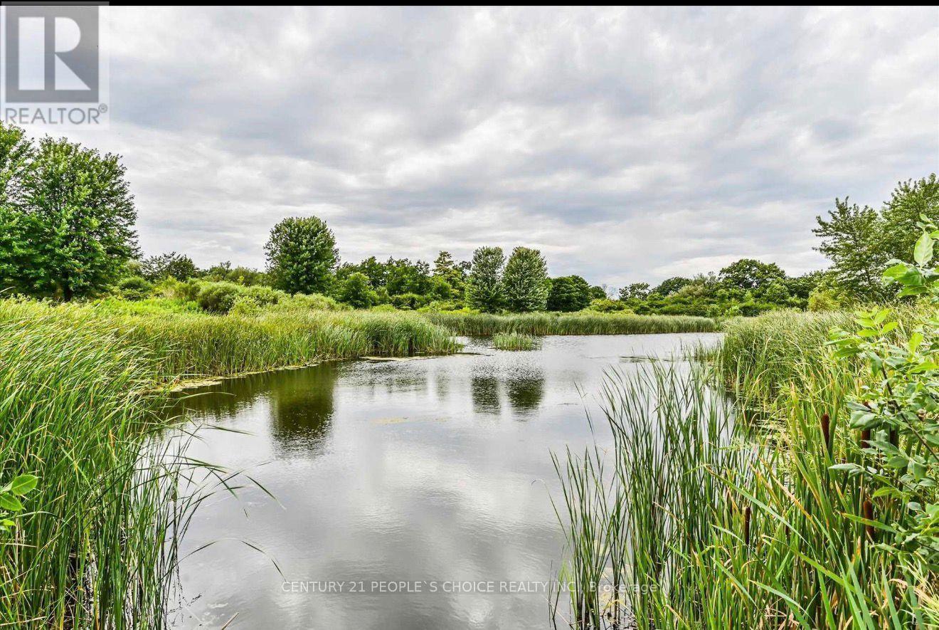 Bsmt - 18 Lighthouse Street, Whitby, Ontario  L1N 9N6 - Photo 22 - E12725668