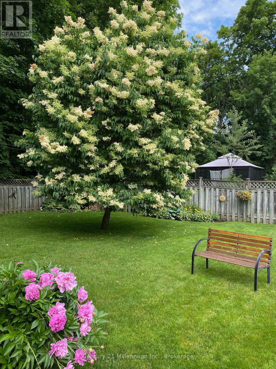 330 1st Street W, Owen Sound, Ontario  N4K 6R4 - Photo 28 - X12724364