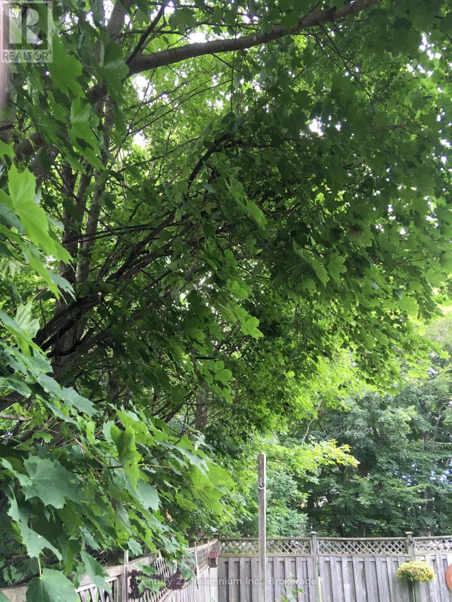 330 1st Street W, Owen Sound, Ontario  N4K 6R4 - Photo 30 - X12724364