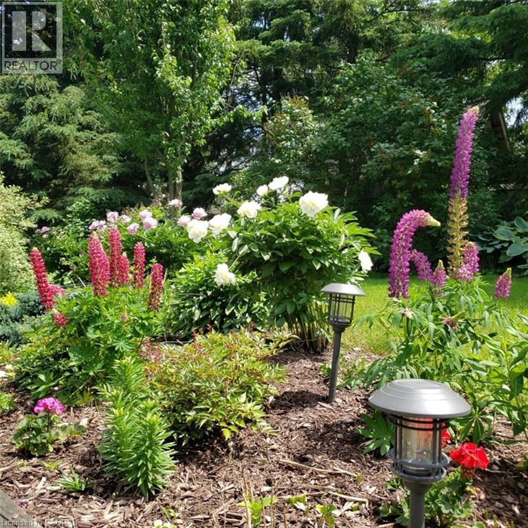 47 Huntington Place, Kitchener, Ontario  N2M 2Z4 - Photo 29 - 40799886