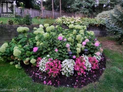 47 Huntington Place, Kitchener, Ontario  N2M 2Z4 - Photo 30 - 40799886