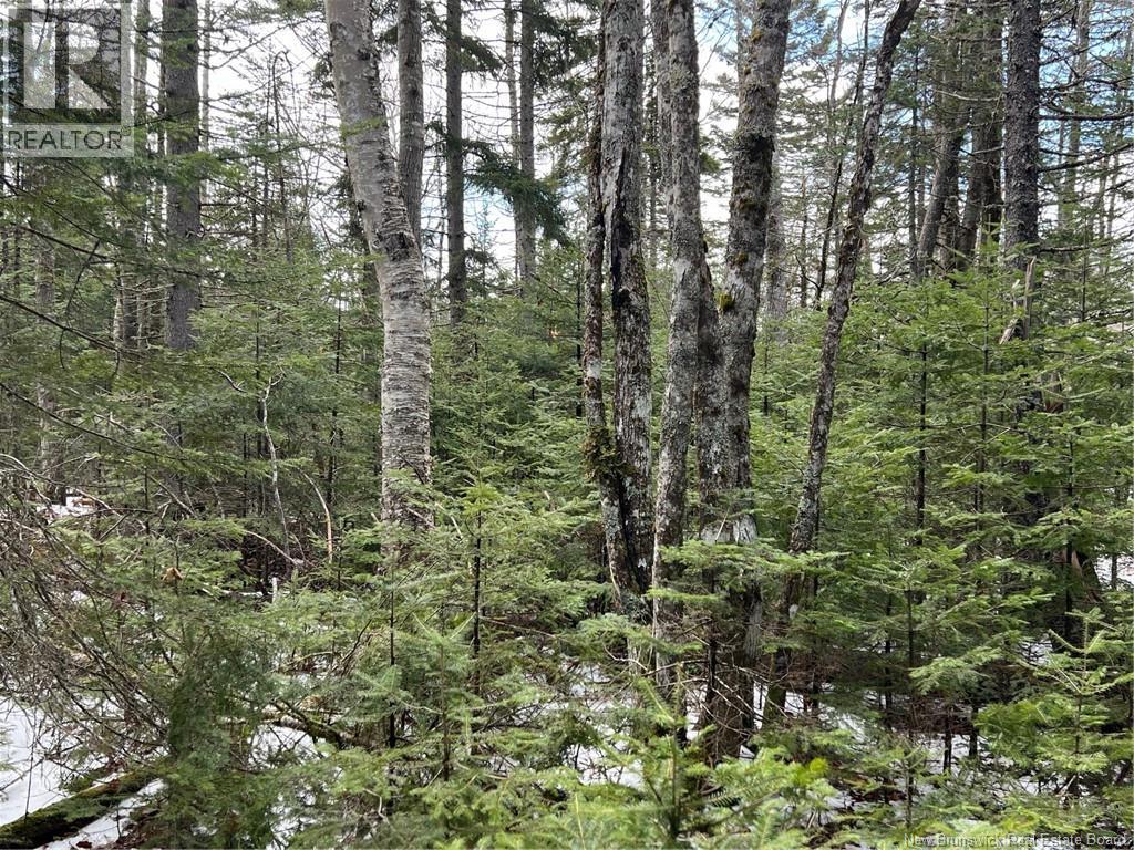 Lot 1 And 2 Plan 4632 Route 645, Harvey, New Brunswick  E6K 2X8 - Photo 1 - NB136277