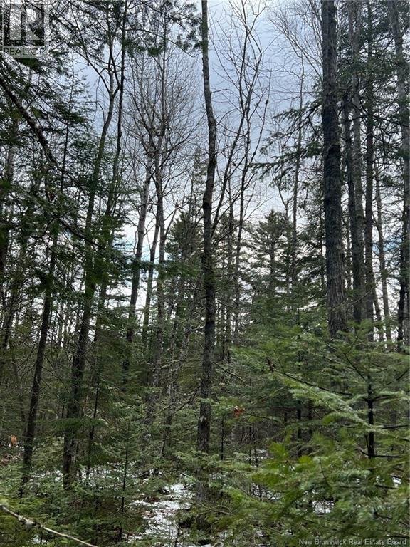 Lot 1 And 2 Plan 4632 Route 645, Harvey, New Brunswick  E6K 2X8 - Photo 2 - NB136277