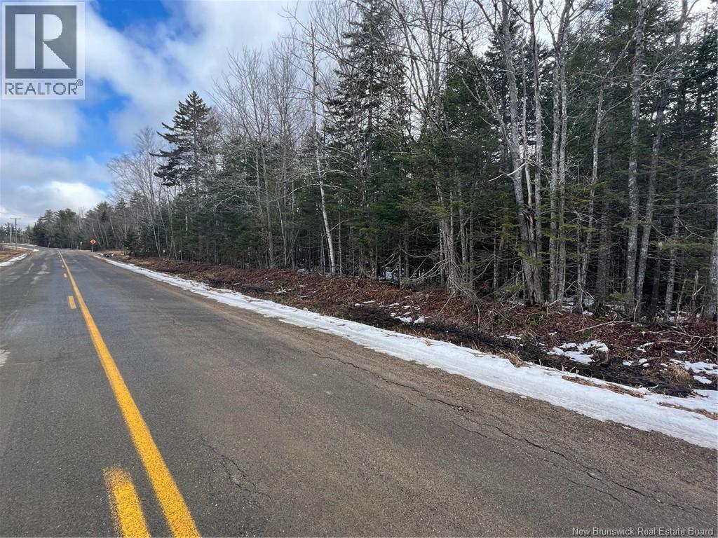 Lot 1 And 2 Plan 4632 Route 645, Harvey, New Brunswick  E6K 2X8 - Photo 3 - NB136277