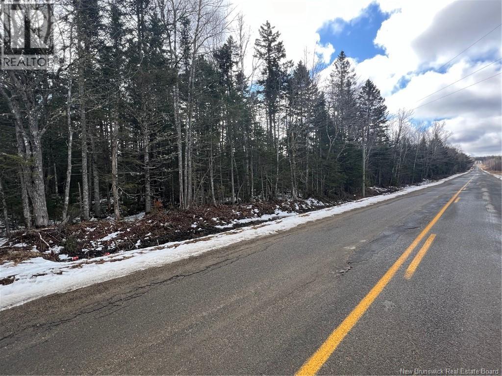 Lot 1 And 2 Plan 4632 Route 645, Harvey, New Brunswick  E6K 2X8 - Photo 4 - NB136277